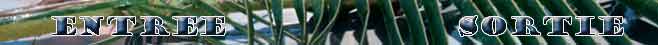 extrait video porno